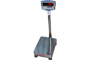 Read more about the article Platform Scale/Bench Scale